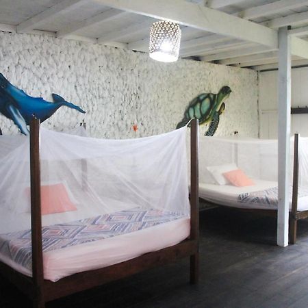 Refugio Mr Jerry Eco House Hotel Bahia Solano Exterior photo